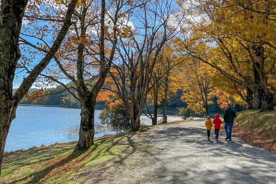 The carriage trail beside Bass Lake in autumn