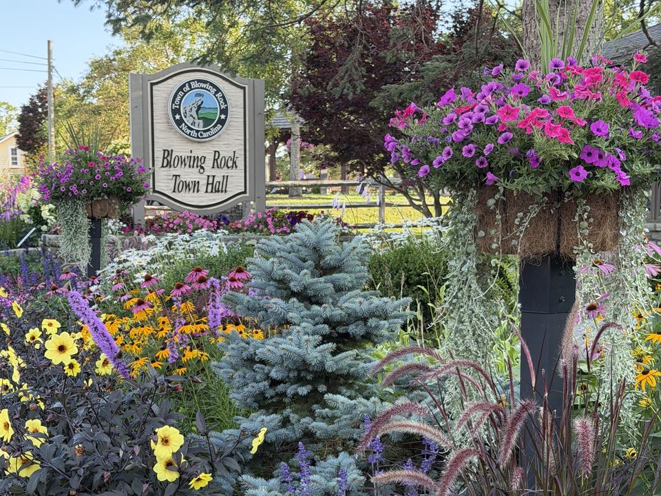 Summer flower beds around the Blowing Rock town hall sign