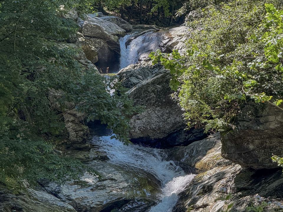 Water cascading over rock ledges at Laurel Creek Falls
