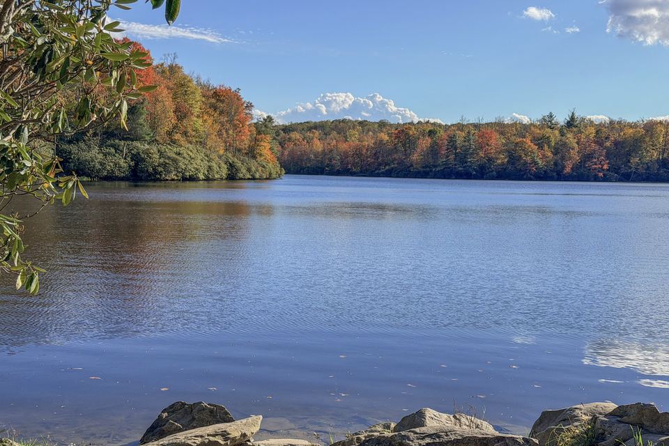 Fall color along the shore of Julian Price Lake
