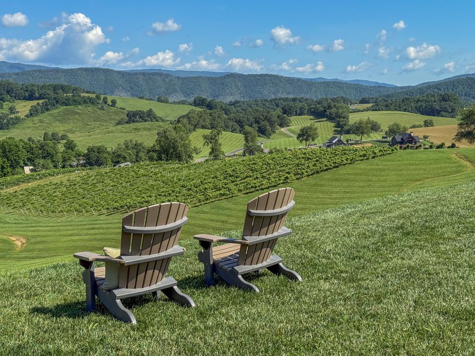 Rows of vines at Villa Nove Vineyards with long-range mountain views behind